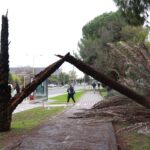 Andalucía registra casi 4.000 incidencias por las fuertes lluvias y mantiene 29 carreteras cortadas