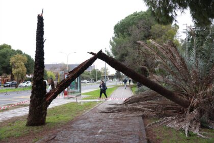 Andalucía registra casi 4.000 incidencias por las fuertes lluvias y mantiene 29 carreteras cortadas
