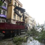 Cae un árbol en San Jacinto en Sevilla durante el episodio de viento ocupando y bloqueando la calzada, sin dejar heridos
