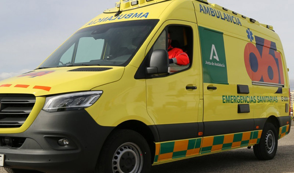 Muere un hombre al caer de un pino mientras realizaba labores de poda en Cartaya (Huelva)