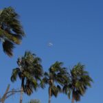 El viento alcanza los 160 km/h en Portbou (Girona) y el 112 registra 601 llamadas en Catalunya