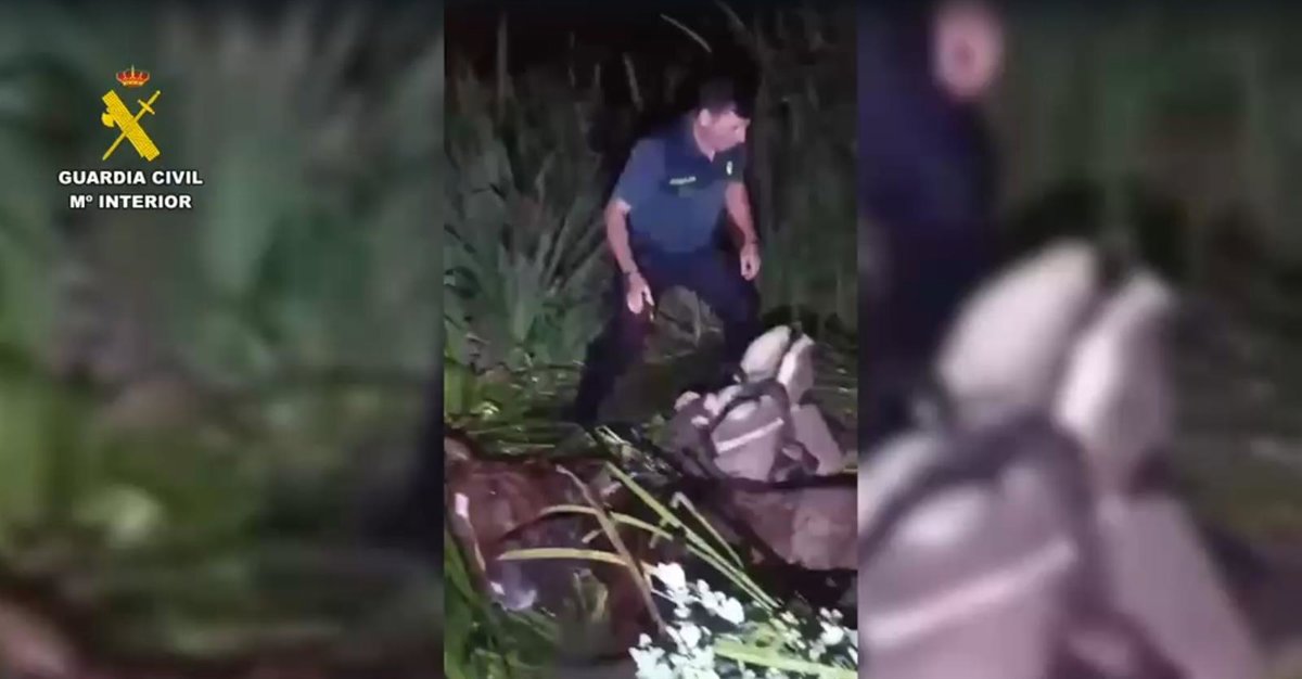 Un guardia civil ayuda a liberar al jinete y su caballo atrapados en una zona pantanosa cerca del arroyo Cñada Martín