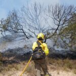 Imagen de un incendio forestal en el Parque Nacional de Doñana, con fuego y humo en el aire