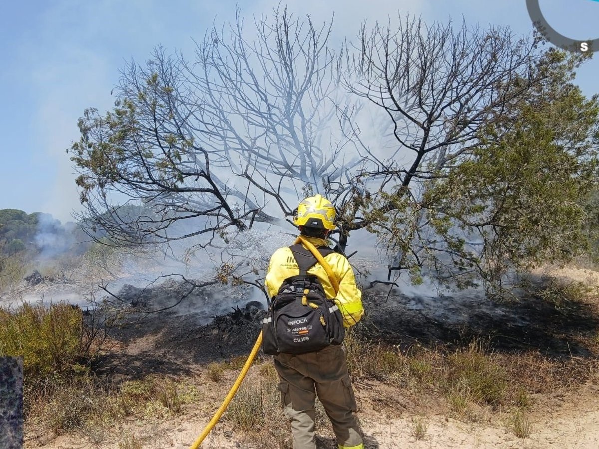 Imagen de un incendio forestal en el Parque Nacional de Doñana, con fuego y humo en el aire