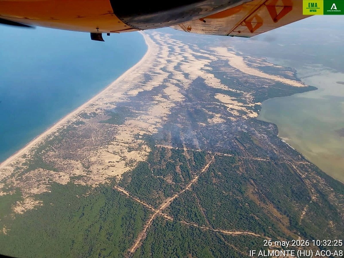 El incendio de Doñana queda controlado y el Infoca continúa con las labores para lograr su extinción