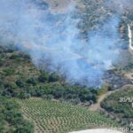 Un camión de bomberos en acción para sofocar un incendio en una zona forestal cerca de Almáchar