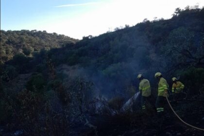 Bomberos forestales trabajando en la noche en el incendio de Alosno