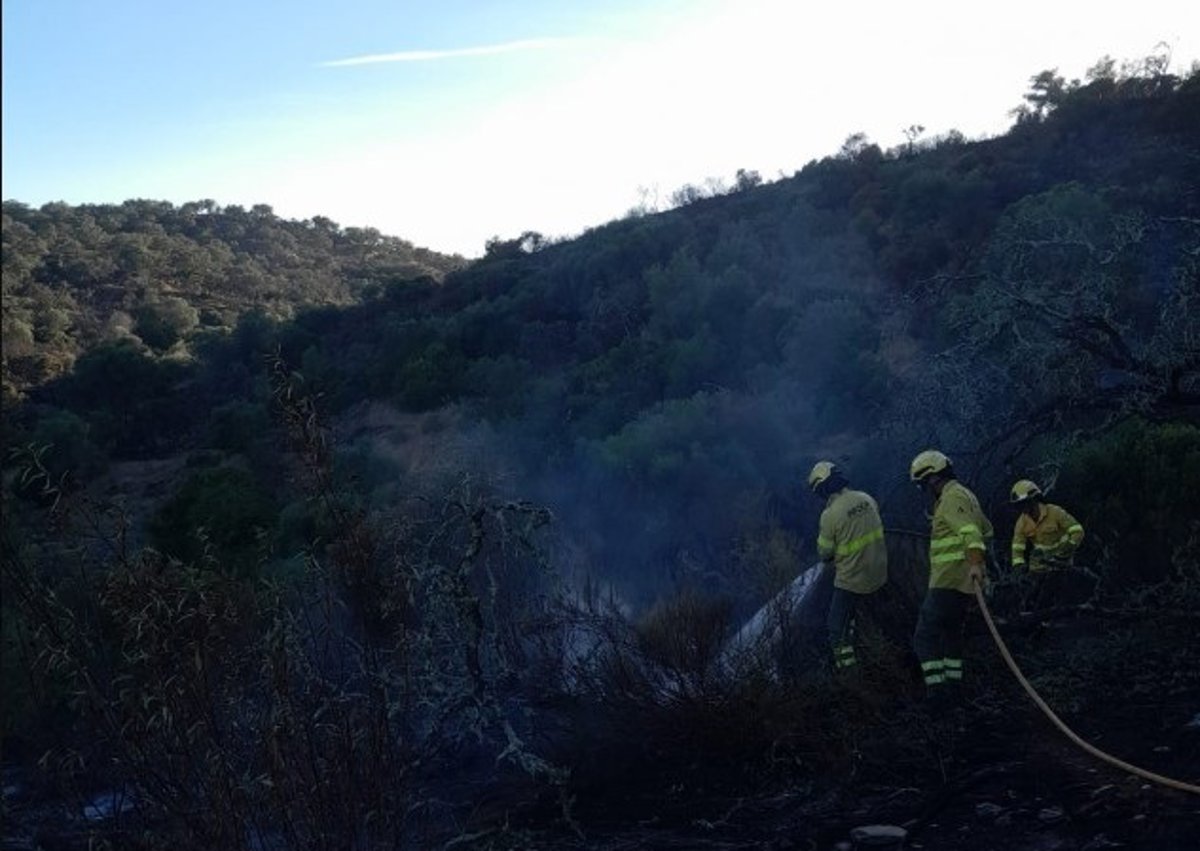 Bomberos forestales trabajando en la noche en el incendio de Alosno