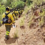Un grupo de bomberos forestales trabajando en un área afectada por un incendio forestal en Huelva