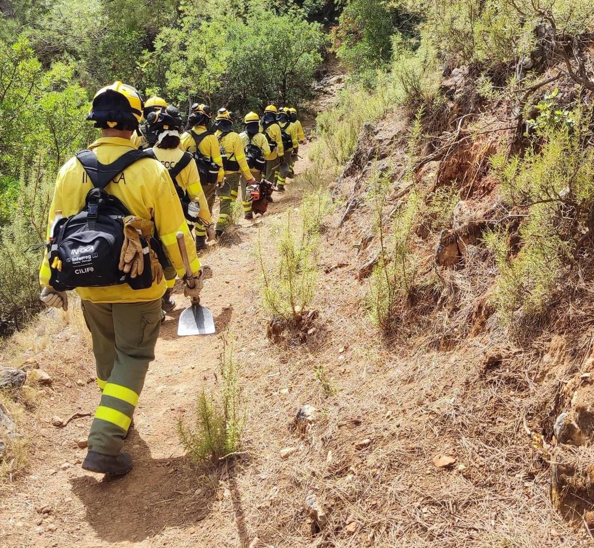 Un grupo de bomberos forestales trabajando en un área afectada por un incendio forestal en Huelva