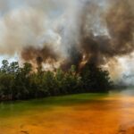 Imagen de un incendio forestal con llamas altas y humo espeso