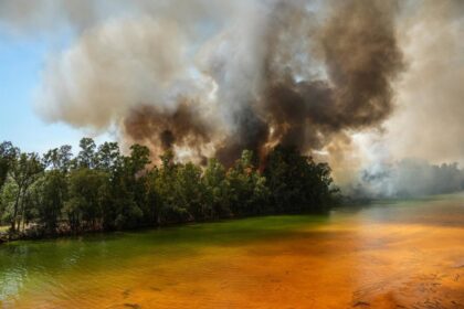Imagen de un incendio forestal con llamas altas y humo espeso