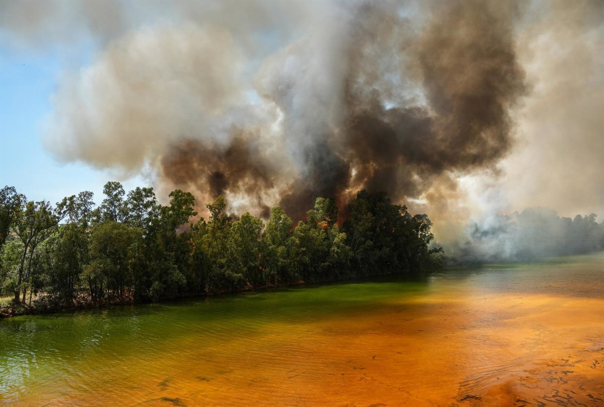 Imagen de un incendio forestal con llamas altas y humo espeso