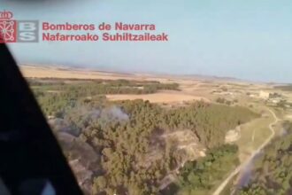 Bomberos trabajando en la extinción de un incendio forestal en un pinar cerca de Lerín