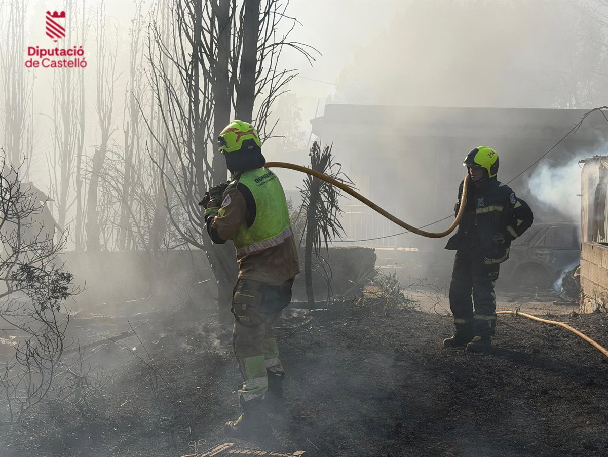 Zona de interfaz urbano-forestal entre Peñíscola y Benicarló con vegetación seca y viviendas cercanas, escenario del incendio