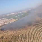 Bomberos trabajando en incendio forestal en Humilladero, zona de interfaz agrícola-forestal afectada por sequía prolongada
