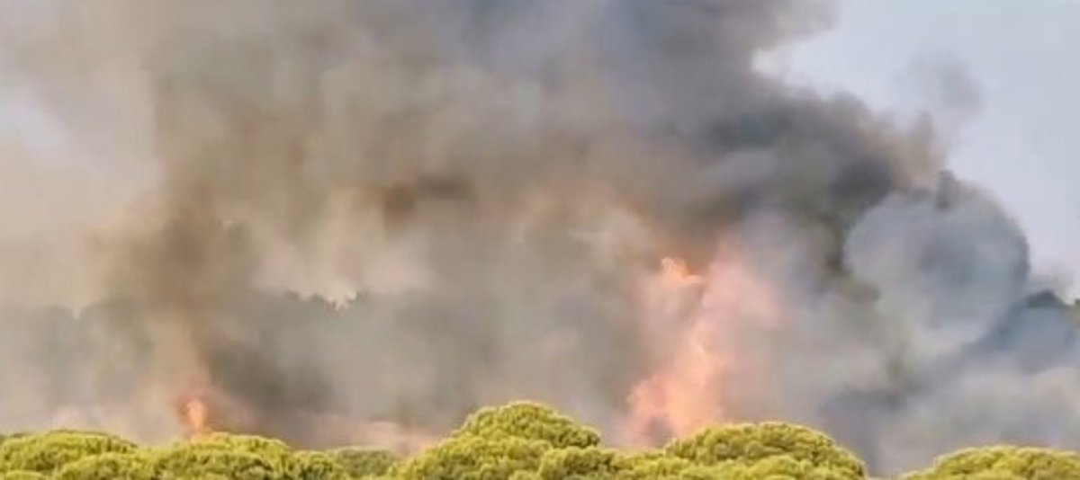 Declarado un incendio forestal en Lepe (Huelva) próximo a la urbanización Islantilla Golf